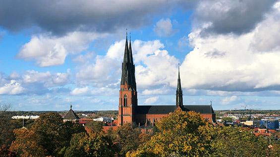 Bli veterinär i Uppsala