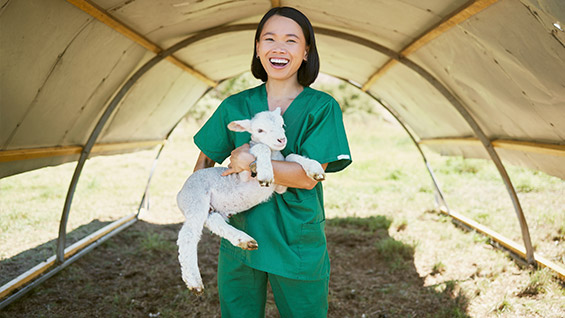 Bli veterinär med antagningspoäng