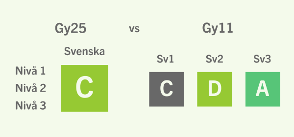 Ämnesbetyg i Gy25