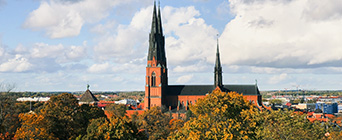 Läxhjälp i Uppsala