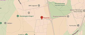 Läxhjälp i Rosendal